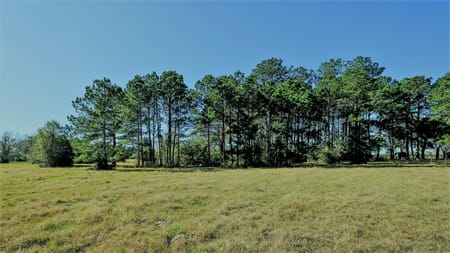 Hockley, TX 77484 Waller County
