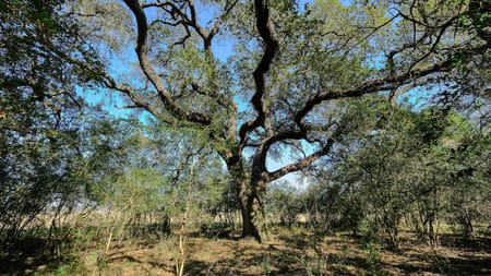 Hockley, TX 77484 Waller County