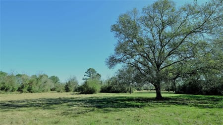 Hockley, TX 77484 Waller County