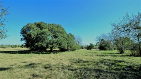 Hockley, TX 77484 Waller County