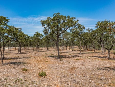 Bowie, TX 76230 Montague County