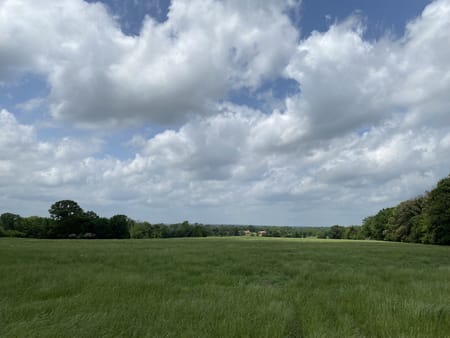 Van, TX 75760 Van Zandt County