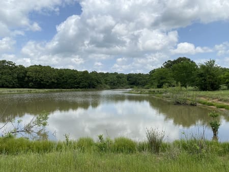 Van, TX 75760 Van Zandt County
