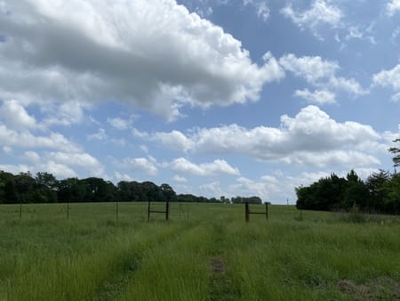 Van, TX 75760 Van Zandt County