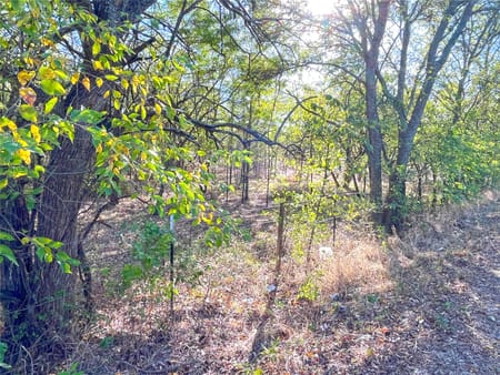 Gunter, TX 75058 Grayson County