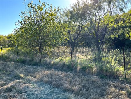 Gunter, TX 75058 Grayson County