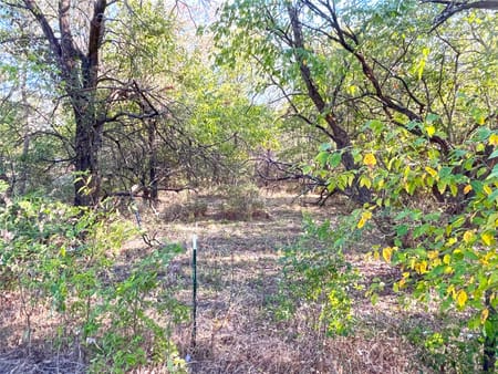 Gunter, TX 75058 Grayson County