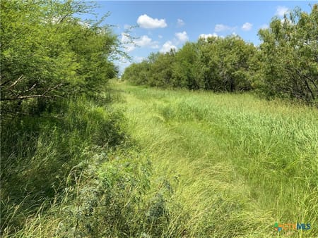 Sinton, TX 78387 San Patricio County