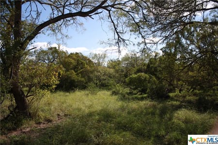 Sinton, TX 78387 San Patricio County