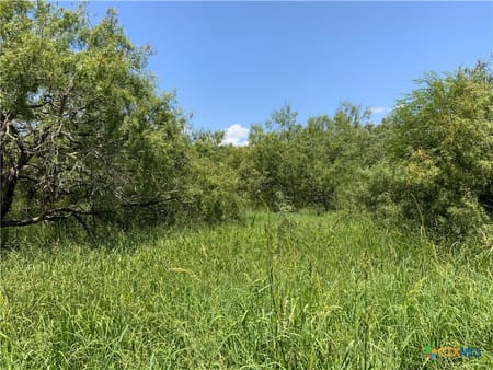 Sinton, TX 78387 San Patricio County