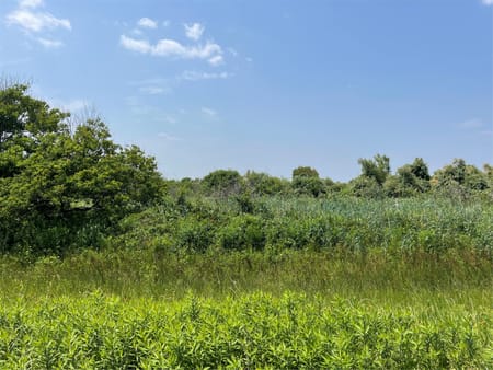Gilchrist, TX 77617 Galveston County
