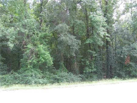 Homer, LA 71040 Claiborne Parish