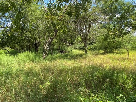 Sinton, TX 78387 San Patricio County