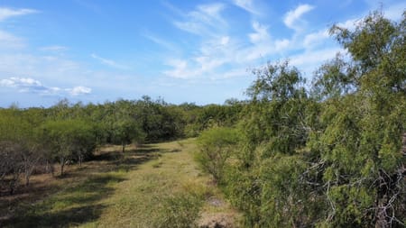 Sinton, TX 78387 San Patricio County