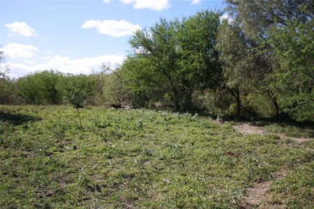Sinton, TX 78387 San Patricio County