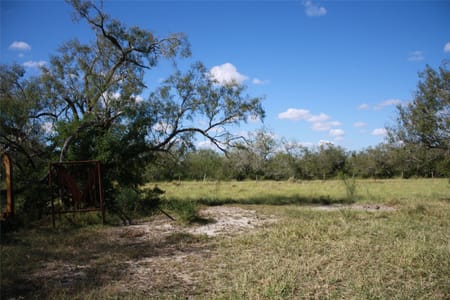 Sinton, TX 78387 San Patricio County