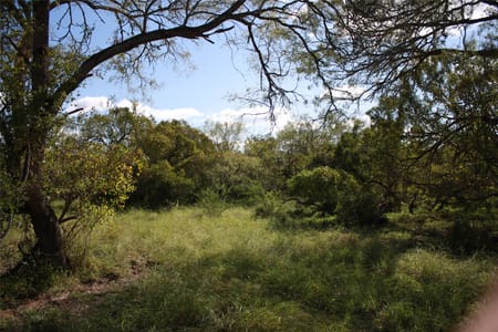 Sinton, TX 78387 San Patricio County