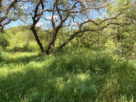 Sinton, TX 78387 San Patricio County