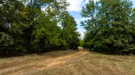 Pittsburg, TX 75686 Camp County