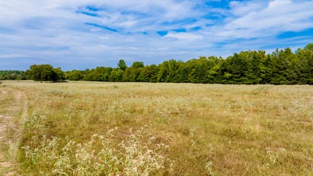 Pittsburg, TX 75686 Camp County