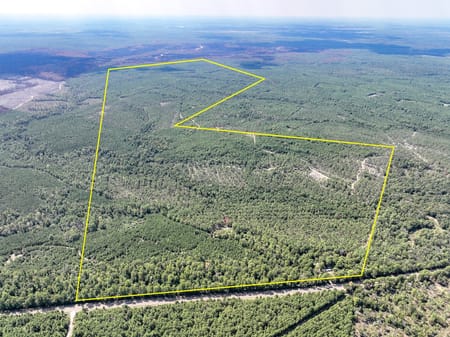 Huntsville, TX 77320 Walker County