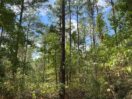 Huntsville, TX 77320 Walker County