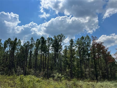 Huntsville, TX 77320 Walker County