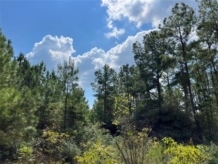 Huntsville, TX 77320 Walker County