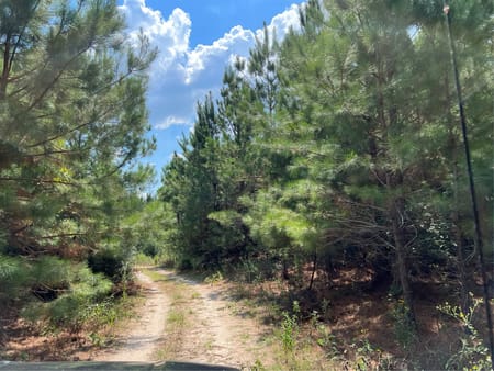 Huntsville, TX 77320 Walker County