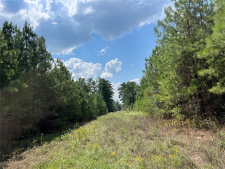 Huntsville, TX 77320 Walker County