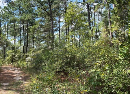 Huntsville, TX 77320 Walker County