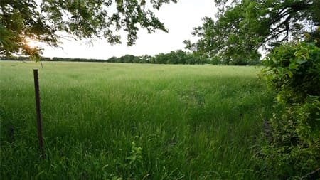Whitewright, TX 75491 Fannin County