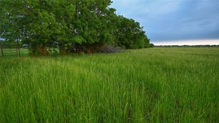 Whitewright, TX 75491 Fannin County