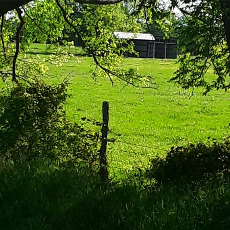 Whitewright, TX 75491 Fannin County