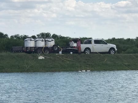 Raymondville, TX 78580 Willacy County
