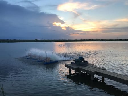 Raymondville, TX 78580 Willacy County