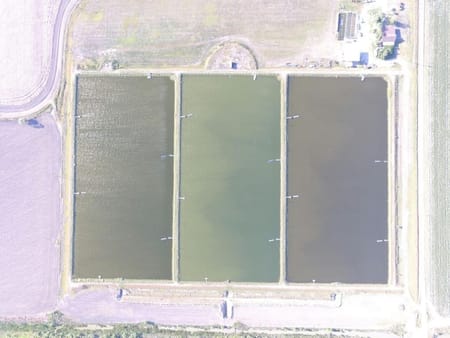 Raymondville, TX 78580 Willacy County