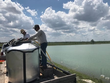 Raymondville, TX 78580 Willacy County
