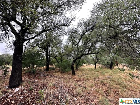 Horseshoe Bay, TX 78657