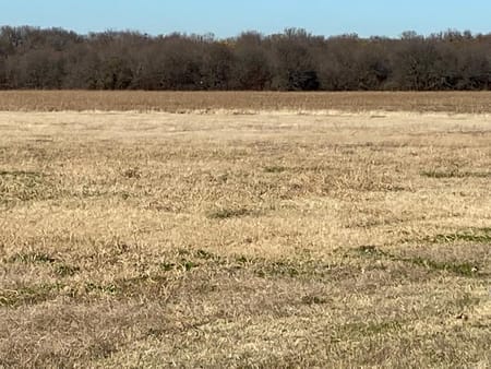 Gunter, TX 75058 Grayson County