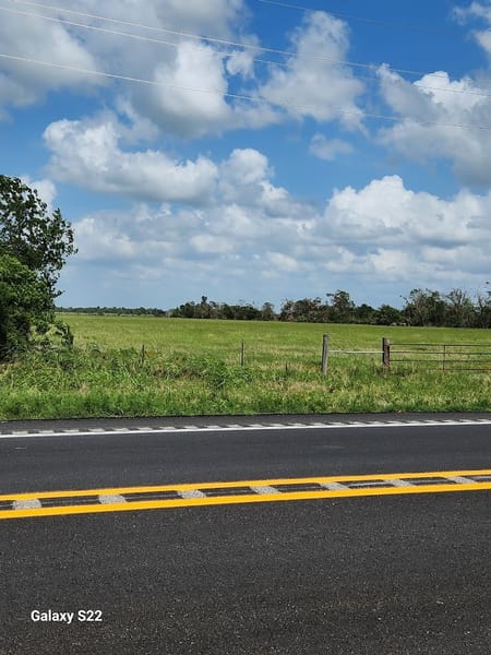 Waller, TX 77484 Waller County