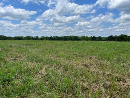 New Waverly, TX 77358 Walker County