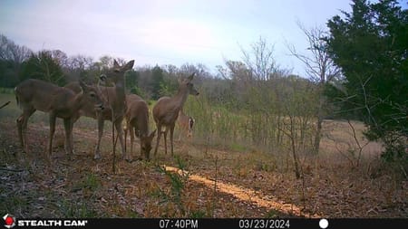 Whitesboro, TX 76273 Grayson County