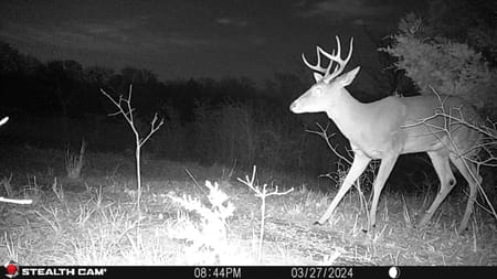 Whitesboro, TX 76273 Grayson County