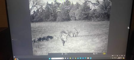 Whitesboro, TX 76273 Grayson County