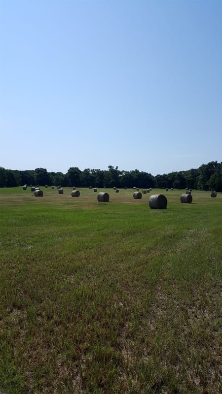 Whitesboro, TX 76273 Grayson County