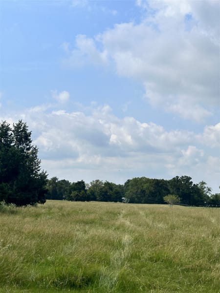 Mabank, TX 75147 Van Zandt County