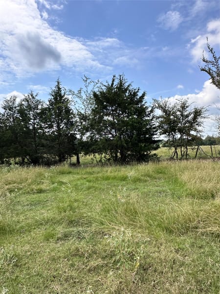 Mabank, TX 75147 Van Zandt County