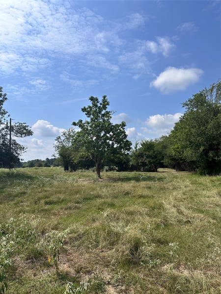 Mabank, TX 75147 Van Zandt County