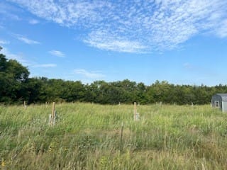 Trenton, TX 75490 Fannin County